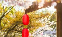 16顺、17财，鸿运当头，3属相正财上涨，大财翻倍发