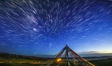 铃兰水逆十二星座运程全解