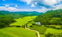 存款成倍涨的三属相，11月中旬，喜迎上上签，钱财堆满山