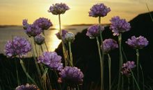 十一月份运气会逐渐变好的星座！