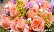 懂得体贴关心，能让男人越爱越深，舍不得放手的3大生肖女