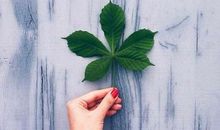 十一月份，这几个生肖势不可挡，这其中也有你的吗