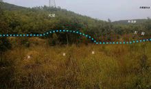 原创 丹霞源风水：拨砂分金诀