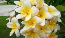 晚年最“有福”的3个生肖女，老公赚大钱，子女更孝顺，后福无穷