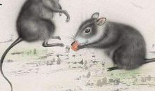 最接近富贵命的3生肖女，闯事业能发家，做生意能发财，衣食无忧