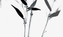 2020年农历二月二十二出生的女孩是什么命，如何起名字