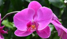 4月中旬，福禄并进，4属相财运连发，生活中吉祥如意，桃花兴旺