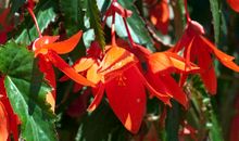 四月中旬运势突飞猛进，4属相事业一帆风顺，万事逢凶化吉