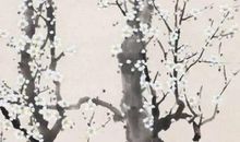 2020年5月21号四月二十九生的女孩是什么命，起什么名字高分