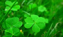 聪明绝顶，但存在致命软肋的三个星座，一旦动情，往往把自己伤害