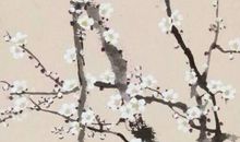 2020年5月22号四月三十生的女孩是什么命，起什么名字涵义好