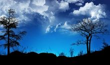 11月好运傍身，财富八方来，赚千万横财的五大生肖