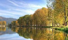 1号起得“福禄”吉星照耀，脚“踩”聚宝盆，金银堆满屋的五生肖