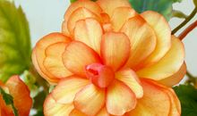 4月下旬运程高涨，4属相生活称心如意，财库丰盈，顺风顺水