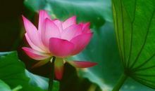 熬到3月，事业一路大发，财神偏爱，横财遍地，天天笑哈哈的属相