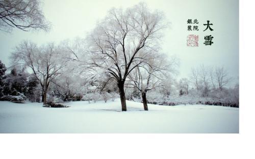 大雪节气看命运-2019年12月7日大雪出生的男孩命运怎么样？(图文) 1