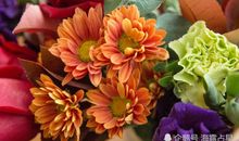 农历新年前后你的桃花运怎么样？