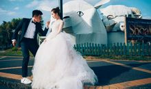 期待高容易失望的星座