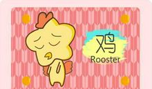 属兔女和属鸡男相配吗 运势怎么样