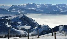 十二星座里，爱得纯粹的星座，双子座不怕伤害，水瓶座心灵纯洁