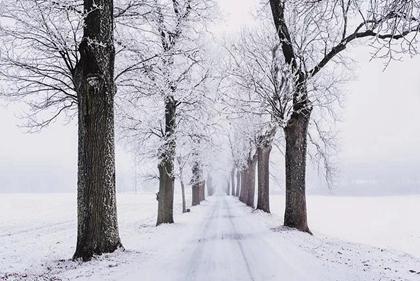 2019年大雪后一天是不是黄道吉日,大雪节气微信祝福语2019版(图文) 2