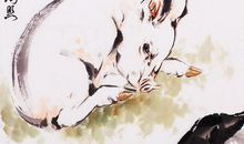 3生肖女是旺子命，生的子女多数是人杰才俊，未来成为有钱人