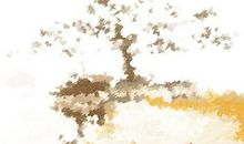 有美人痣的人是不是有横财运