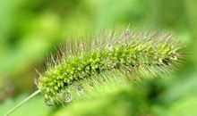 下周开始接财神撞大运，运势极旺，财库越来越丰融的四属相