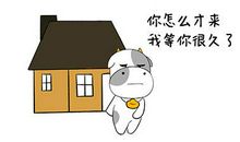 金牛座下周星座运势【2020.01.27-2020.02.02】：容易一见钟情