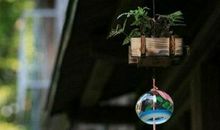 家庭危机是否离你越来越近了？