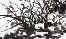 2020年9月出生的宝宝,命格好,财运和健康运都极好