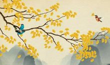 上等命的生肖女，属鸡女旺夫运强，属马女终身福分深厚