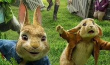 属兔2021年运势及运程 2021年属兔人的全年运势