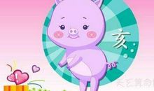 过往之猪是什么意思 生肖属猪的山头火命人