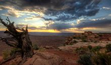 爱得越真，伤得越深，真心付出，换不来好结果的4个星座