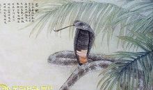 属蛇的宝宝名字怎么取