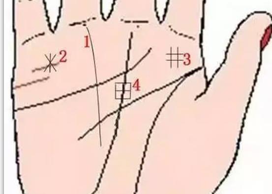 9种手纹的女人命好，星字纹，田字纹都可以代表好运 1