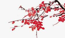 生肖属猪妈妈2020年适合生鼠宝宝吗