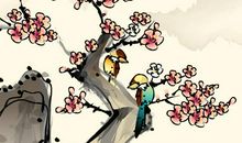 宋韶光生肖属猪2020年运势运程全面解析