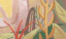 眉心的痣叫什么