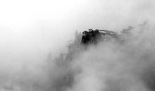 生肖属猪妈妈和生肖属猪爸爸适合生什么生肖的宝宝