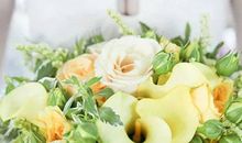 2020年农历九月和十月生肖属鼠和生肖属蛇结婚吉日一览表