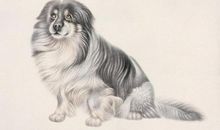 中年之后，财运暴涨，运势越来越好的3大生肖