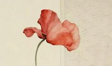 2020年10月16号出生的男孩怎么起名字，五行属什么