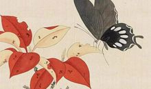 2020年10月7号出生的男孩怎么起名字独特，五行属什么