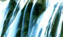 2020鼠年2月生肖属鸡人的运势运程怎么样