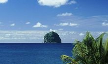 2019猪年出生的郏姓男孩怎么样起名字 姓郏男孩好名推荐(图文)