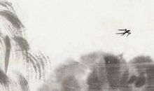 2020年2月生肖属鸡人的桃花运好不好，能脱单吗