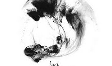 生肖属鸡妈妈和生肖属鸡爸爸适合生什么生肖的宝宝