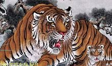 1962年属虎的五行属什么